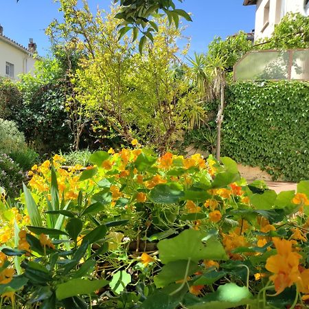 Les Papillons Perpignan Exterior foto
