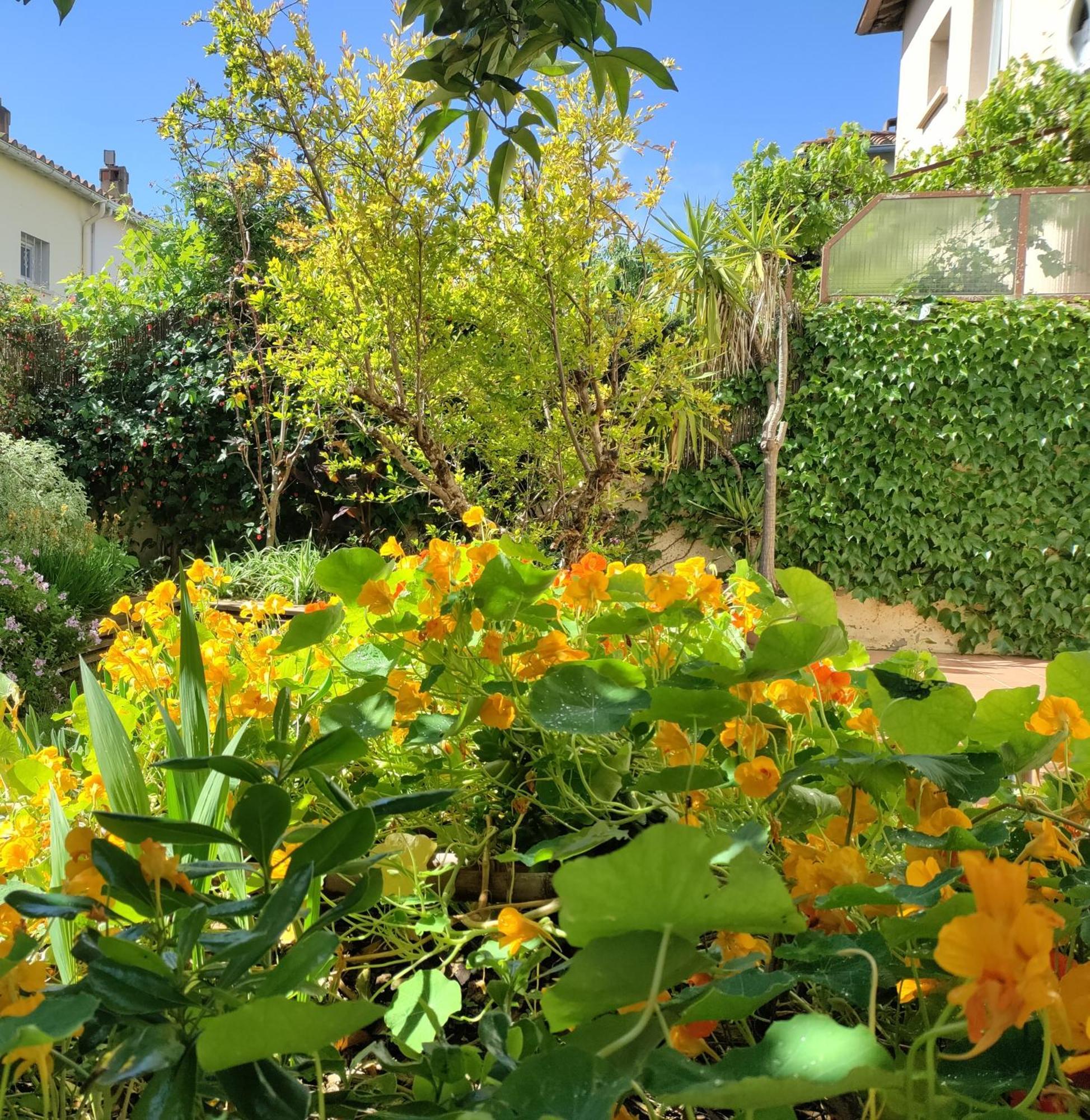 Les Papillons Perpignan Exterior foto